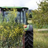 La Suisse doit réduire l'utilisation des pesticides de 50% d'ici 2027 (archives). KEYSTONE/ALEXANDRA WEY